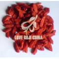 High quality Dried Ningxia organic Goji berry